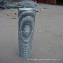 cheap hot dipped galvanized welded fencing net iron wire mesh